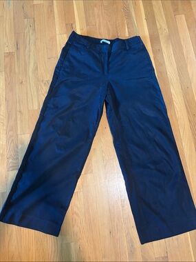 Banana Republic Navy Wide-Leg Women’s Pants